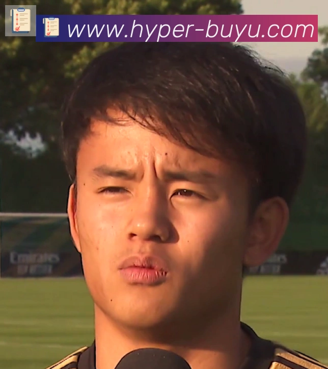 维尼修斯